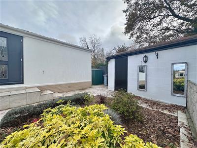 Picture 21